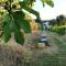 Naturaliterre BnB - Microfattoria