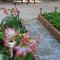 Apartment 4827-2 for 4 Pers in Nerezine - 内里吉恩