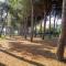 Apartment Cerrano-2 by Interhome
