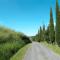 Holiday Home Podere Cafaggiolo-2 by Interhome - Volterra