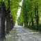 Tenuta Pizzone Wine Resort