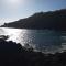 Lazy Lizard by the Ocean - Seixal