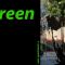 Green Home