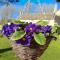 Thames Head Wharf - Historic Cotswold Cottage with Stunning Countryside Views