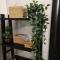 Ariadne apartment