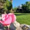 CORAL BAY suite Cyprus