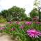 Studio Apartment in Porec with Terrace, WiFi (3794-1) - Poreč