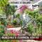 Nestor&Jeeves - SECRET BEACH DUPLEX - Very close sea - Atypical