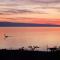 Apartment in Duce with sea view, terrace, air conditioning, Wi-Fi (3425-10) - Duče