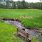 Lazy Days Lodge, Glendevon, Perthshire