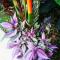 Black Bamboo