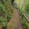 Foresters Retreat Glamping - Cambrian View- Vaccinated dogs over the age of 2 are accepted