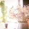 Vakantiewoning Cha Nostra