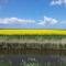 Landgoed Wilgenheerd