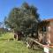 Cottage I Ciliegi with aircon, fenced garden by ToscanaTour