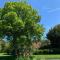 Le Clos des Buis 2 gîtes 6CH 4 SDB 4 WC