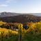 Weinberghaus am Burgstallkogel