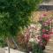 Apartment Dandelion - Brela