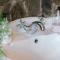 Drumfearne Guesthouse & Tearoom