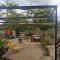 Apartman Ane - Bribir