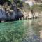 FONOLL MARÍ - Cala en Forcat