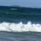 MBAO Sipres Appartement moderne bord de mer