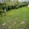 Agroturystyka u Willima