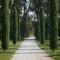 Mas des Songes photo 8
