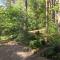 Wald und Wohlsein
