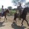 Rancho Santana Horseback Riding