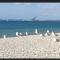 Apartment in Pirovac with sea view, terrace, air conditioning, WiFi (4925-1)