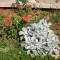 Apartment in Pirovac with Terrace, Air conditioning, Wi-Fi, Washing machine (4793-3)
