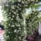 LOCANDA RIGHETTO
