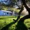 Baviaanskloof Guest Cottages - Studtis