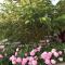 Гостевой дом Chimgan Apple Garden