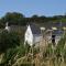 Nantgwynfaen Organic Farm Wales - Llandysul