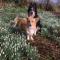 Nantgwynfaen Organic Farm Wales - Llandysul