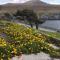 The Atlantic view guest house, Sandavagur, Faroe Islands