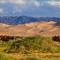 Mongolian Vision Tours