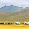 Mongolian Vision Tours