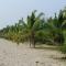 Mayas Beach House