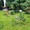 Cozy detached house, wide garden, wifi - Crespano del Grappa