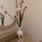 Villa Perkemes Apartments Parga
