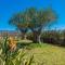 YourHouse Son Gallina quiet, private villa in the north of Mallorca