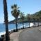 Lazy Lizard by the Ocean - Seixal
