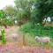 Casas Herdade do Convento da Serra