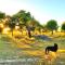 Casas Herdade do Convento da Serra
