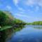 The Backwaters Lodge