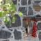 My Old Stone House in a 2 000 sqm private garden with Fab Glamping Tent - Mandrákion