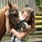 Anthidon Nature Estate & Farm